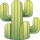 cactus 6