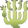 cactus 7